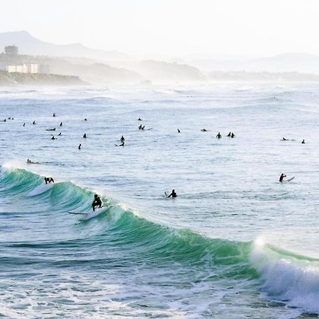 Magnifique T3 - Grande Plage Biarritz Exterior photo