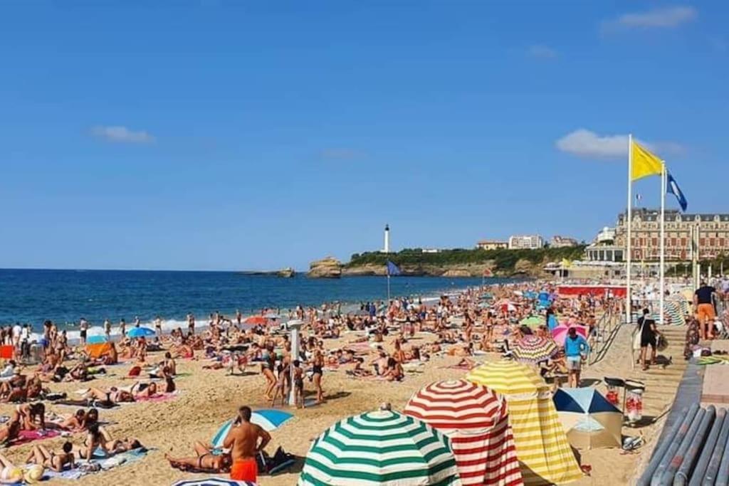 Magnifique T3 - Grande Plage Biarritz Exterior photo