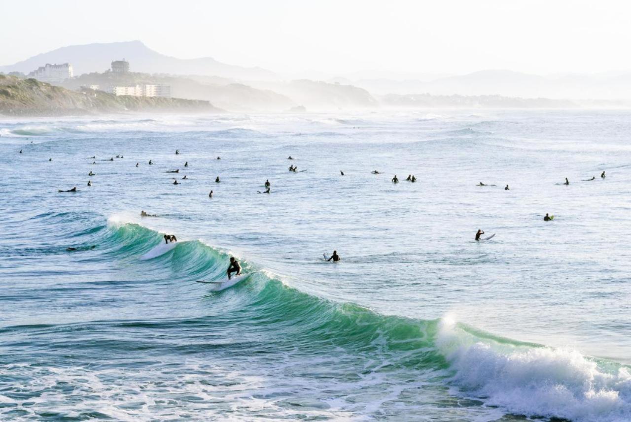 Magnifique T3 - Grande Plage Biarritz Exterior photo